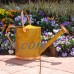 Austram-Griffith Creek Designs Deluxe Watering Can with Copper Accents   